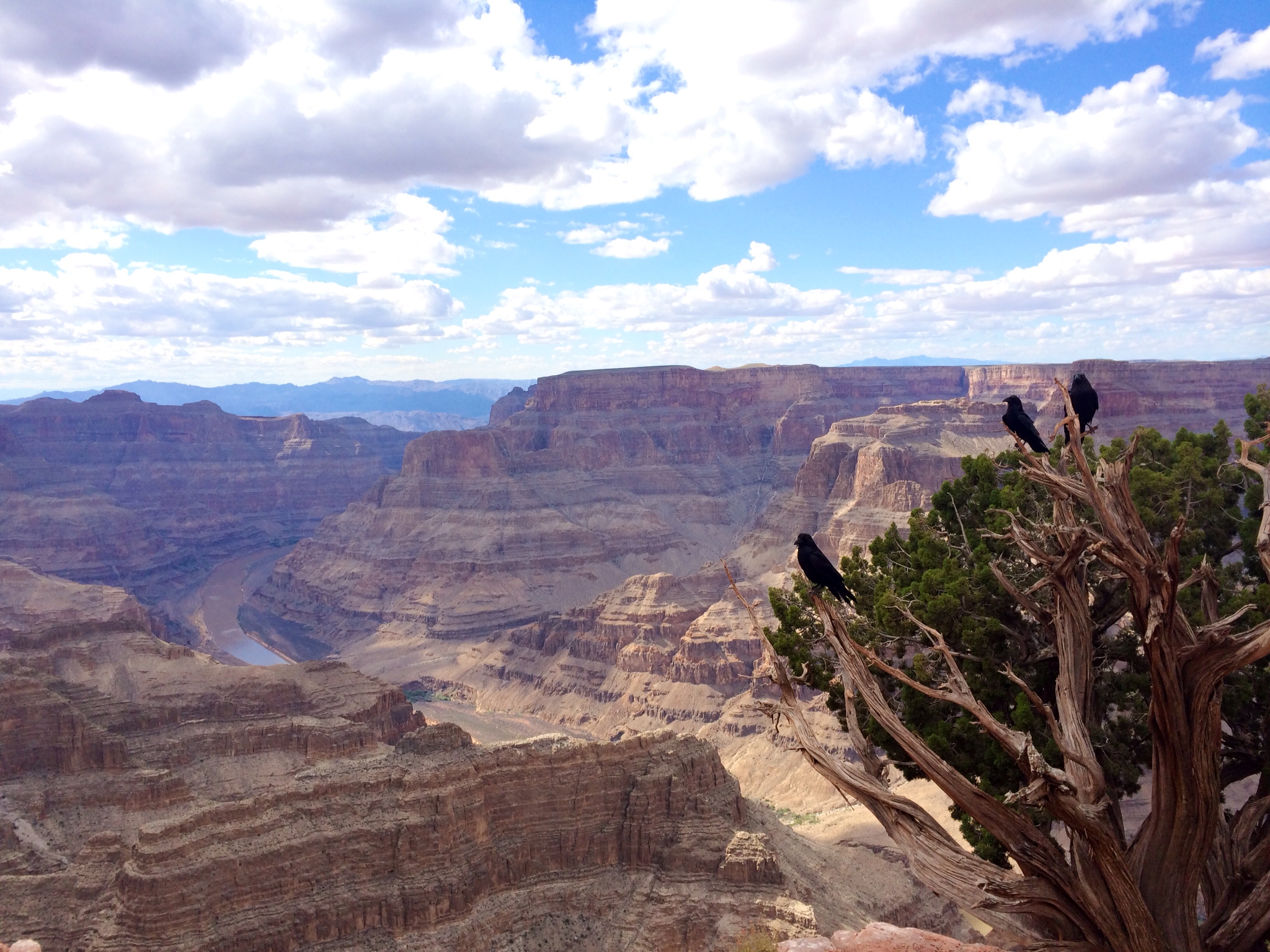 View of Grand Canyon